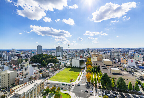 茨城県でのゴミ屋敷の掃除業者