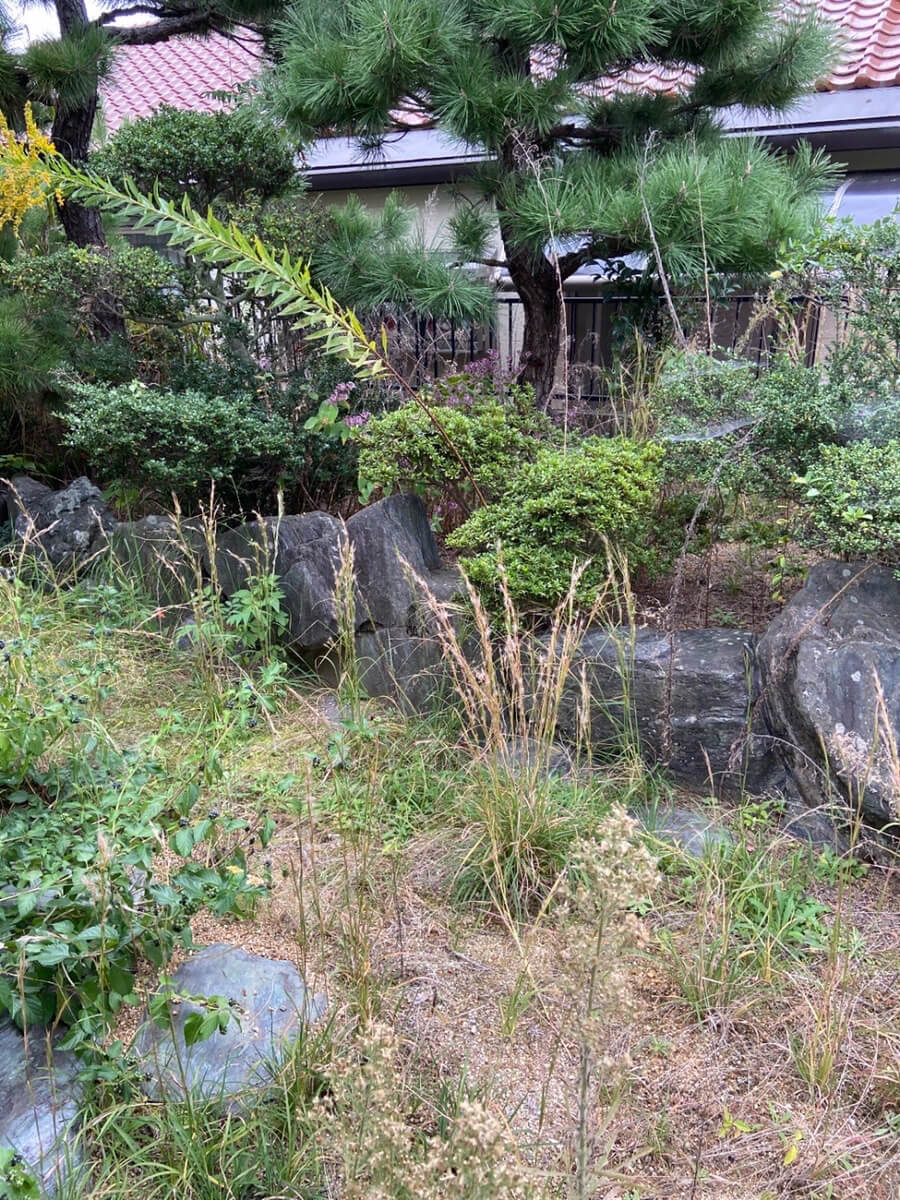 和歌山県南部町Ｔ様の草刈り剪定ビフォー03
