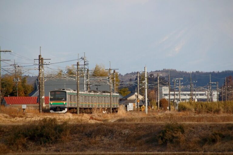 栃木県さくら市のゴミ屋敷に対する条例（さくら市環境美化条例）の内容とは