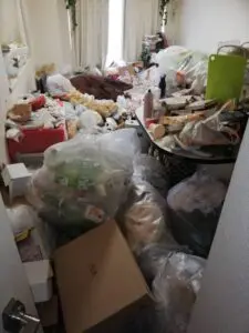 ゴミ屋敷,片付け,汚部屋清掃,多摩市