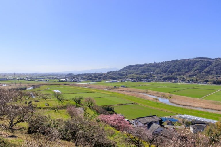 佐賀県小城市のゴミ屋敷に関する条例（小城市環境美化条例）の内容とは