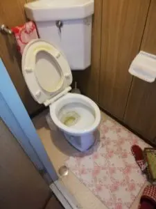 埼玉県新座市,ゴミ屋敷,お客様の声