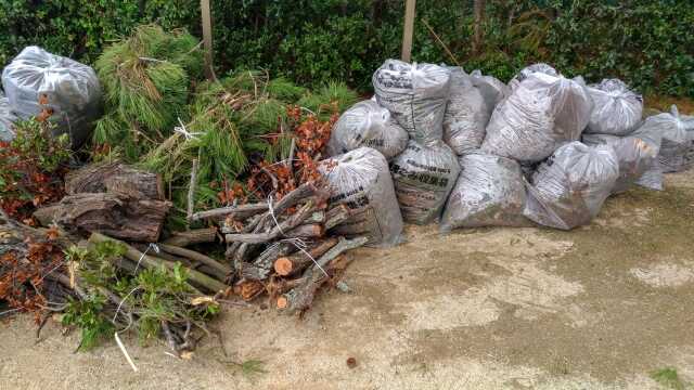 庭木・植木の処分方法7選