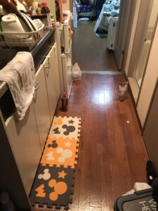 静岡県三島市,ゴミ屋敷,お客様の声