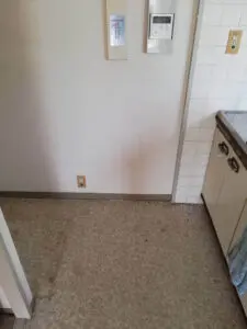 群馬県東吾妻町,お客様の声,ゴミ屋敷