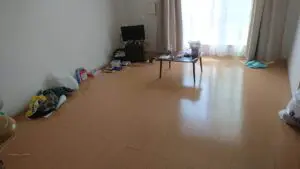 群馬県玉村町,お客様の声,ゴミ屋敷