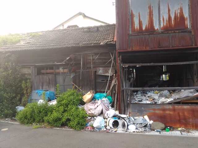 ネズミが出るゴミ屋敷が危険な理由