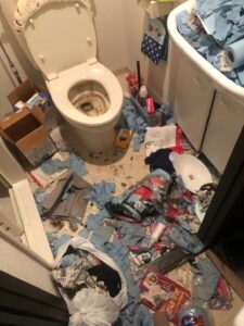 和歌山県白浜町,ゴミ屋敷,お客様の声