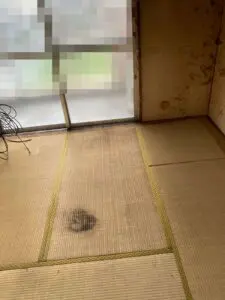 滋賀県甲良町,お客様の声,ゴミ屋敷