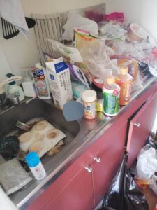 静岡県西伊豆町,ゴミ屋敷,お客様の声