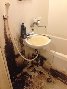 和歌山県太地町,ゴミ屋敷,お客様の声