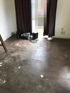 静岡県長泉町,ゴミ屋敷,お客様の声