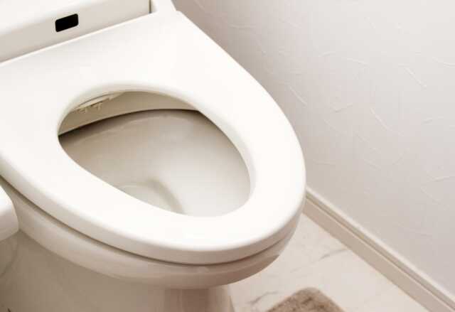 【絶対ダメ】ゴキブリをトイレに流すのはNG！知らないと怖い3つのリスク