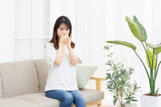 部屋に染み付いた臭いを消す方法！原因別の対策と予防法