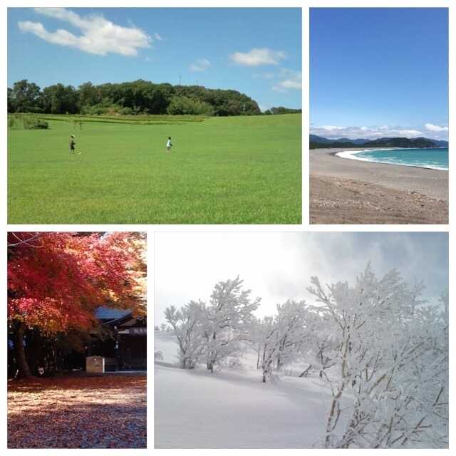 ゴキブリ対策に効果的な季節