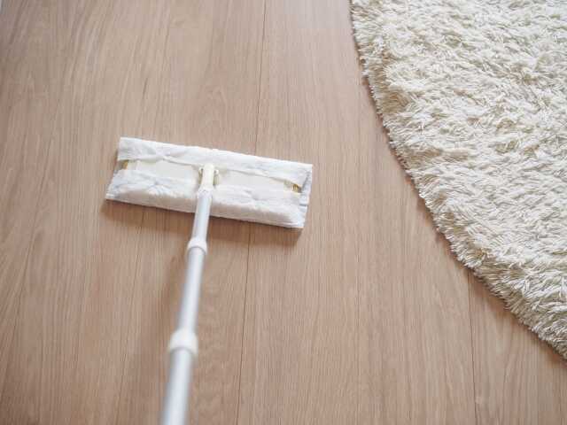 掃除機をかけられない時の代替手段