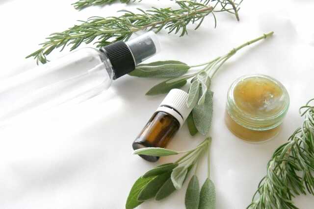 ハーブを使ったゴキブリ対策の手順