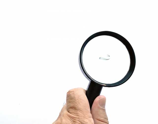 汚部屋に出る小さな虫の正体