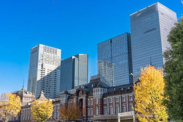 【プロが選ぶ】東京のゴミ屋敷業者おすすめ8選！選び方のコツを伝授