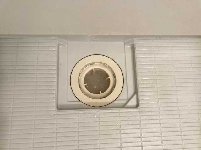 お風呂の排水溝の仕組みと「封水切れ」の正体