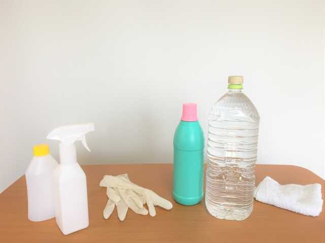 【見えるカビ対策】ゴミ屋敷のカビ除去方法